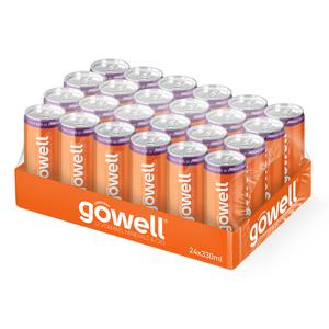 24 x GoWell Funktionsdryck Flak 33 cl produkt bild