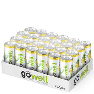 24 x GoWell Funktionsdryck Flak 33 cl produkt bild
