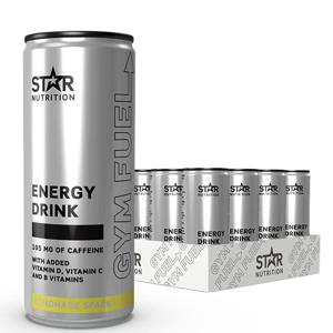24 x Gym Fuel 330 ml produkt bild