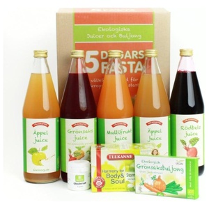 5 Dagars Fasta produkt bild
