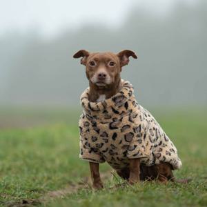 51 Degrees North Turtle Teddy Hundtröja Leopard (28 cm) produkt bild