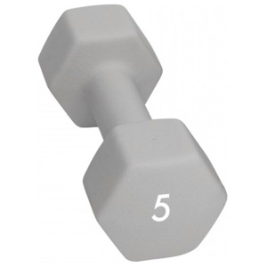 Abilica Dumbbells 5 kg produktbillede