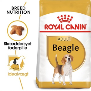 Adult Beagle 12 kg produktbillede