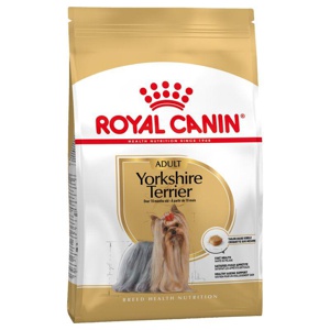 Adult Yorkshire Terrier 1,5 kg produktbillede
