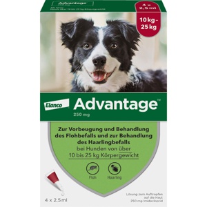ADVANTAGE 250 Lösung f.Hunde 10-25 kg Produktbild