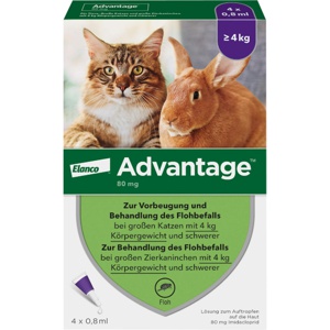 Advantage 80 für große Katzen und Zierkaninchen ab 4 kg, 4X0.8 ml Lösung Produktbild