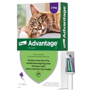 Advantage täpilahus kassile 100 ml/0,8 ml 4 tk toote pilt