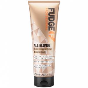 Fudge All Blonde Colour Lock Shampoo 250 ml produkt bild