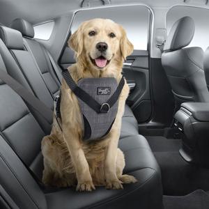 All For Paws Dog Bilsele produkt bild