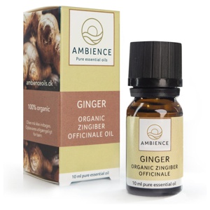 Ambience Ingefær Olie Økologisk 10 ml produktbillede
