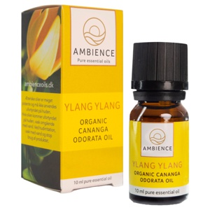 Ambience Ylang ylang Olie Økologisk 10 ml produktbillede
