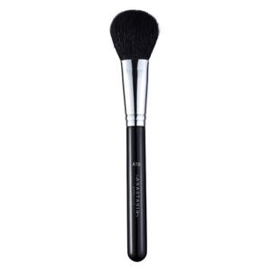 A19 Blush Brush produkt bild