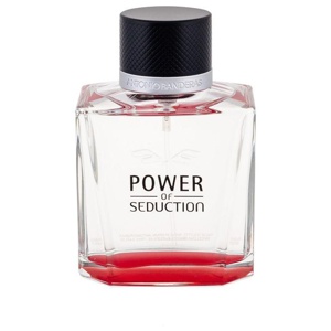 Antonio Banderas Power of Seduction Edt 100ml produkt bild