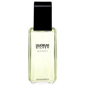 Antonio Puig Quorum Silver Edt 100ml produkt bild