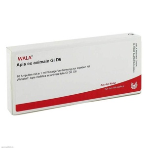 APIS EX animale GL D 6 Ampullen Produktbild