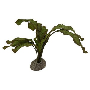 AQUA DELLA Echinodorus 1 grün 5 m Produktbild