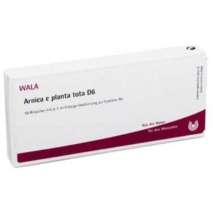 Arnica E Planta tota D6 Ampullen, 10X1 ml Ampullen Produktbild