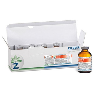ARNICA-LOGOPLEX-Injektionsloesung-vet Produktbild