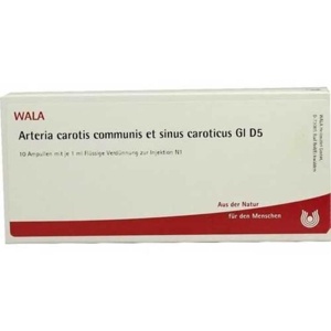 ARTERIA CAROTIS COMMUNIS et sin.carot.GL D 5 Amp. Produktbild