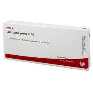 Articulatio Genus Gl D 6 Ampullen Produktbild