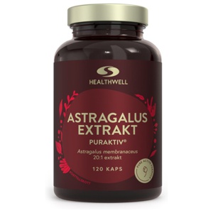 Astragalus Ekstrakt 120 kapsler produktbillede
