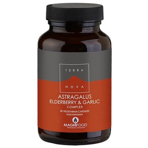Astragalus elderberry & garlic complex - 50 kap. produktbillede