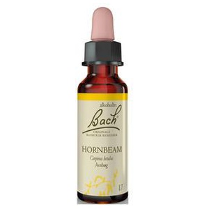 Mezina Bach Avnbøg (Hornbeam) • 10ml. X produktbillede