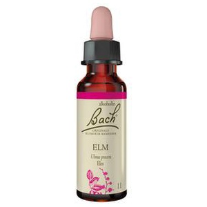 Bach Elm - 10 ml produktbillede