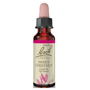 Bach Ægte Kastanje - 10 ml produktbillede