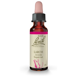 Bach Lærk - 10 ml produktbillede