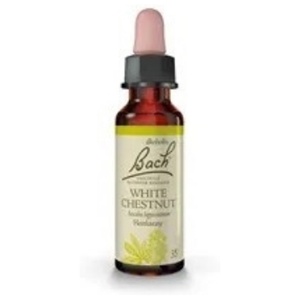 Bach remedy white chestnut blomstermedisin10 ml produktbilde