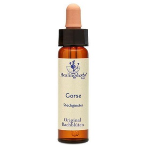BACHBLÜTEN Gorse Healing Herbs Tropfen Produktbild