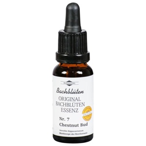 Bachblüten Murnauer Tropfen Chestnut Bud, 20 ml Tropfen Produktbild