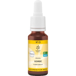 BACHBLÜTEN No.13 Gorse Bio Produktbild
