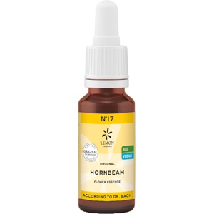 Bachblüte No.17 Hornbeam Bio, 20 ml n.v. Produktbild