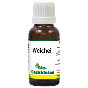 Bachblüte Weichei vet. (für Tiere), 20 ml Flüssigkeit Produktbild