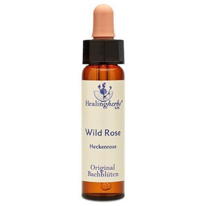 BACHBLÜTEN Wild Rose Healing Herbs Tropfen Produktbild