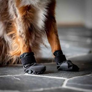 Back On Track Koda Hundskor produkt bild
