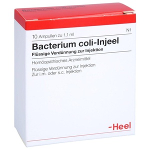 BACTERIUM COLI Injeel Ampullen Produktbild