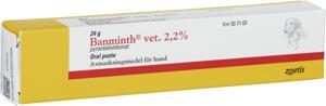 Banminth vet. Oral pasta 2,2 % 24 g produkt bild