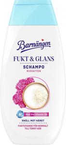 Barnängen Schampo Fukt & Glans 250 ml produkt bild