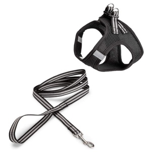 Basic Cat Sporty Sele + Koppel Svart (S) produkt bild