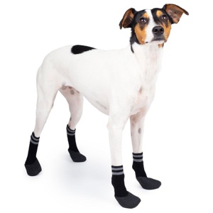 Basic Paws Hundstrumpor Svart 4-pack produkt bild