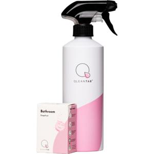 Bathroom Cleaner Kit produkt bild