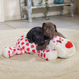 Beeztees Suki Hund Mjukisdjur XL 48 cm produkt bild