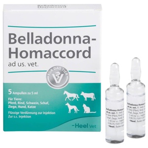 BELLADONNA HOMACCORD ad us.vet.Ampullen Produktbild