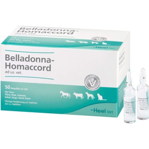 BELLADONNA HOMACCORD ad us.vet.Ampullen Produktbild