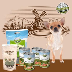 Bellfor Chihuahua Futter Set Produktbild