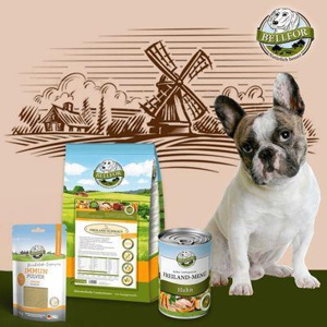 Bellfor Französische Bulldogge Futter Set Produktbild