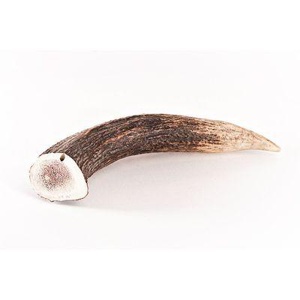 Bellfor Hundesnack - Hirsch-Geweihe XXL - 160g Produktbild